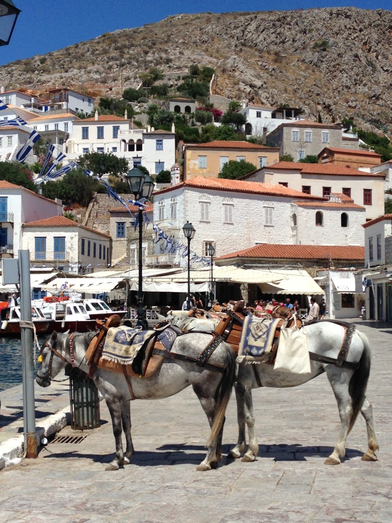 iphone-photos-2015-358